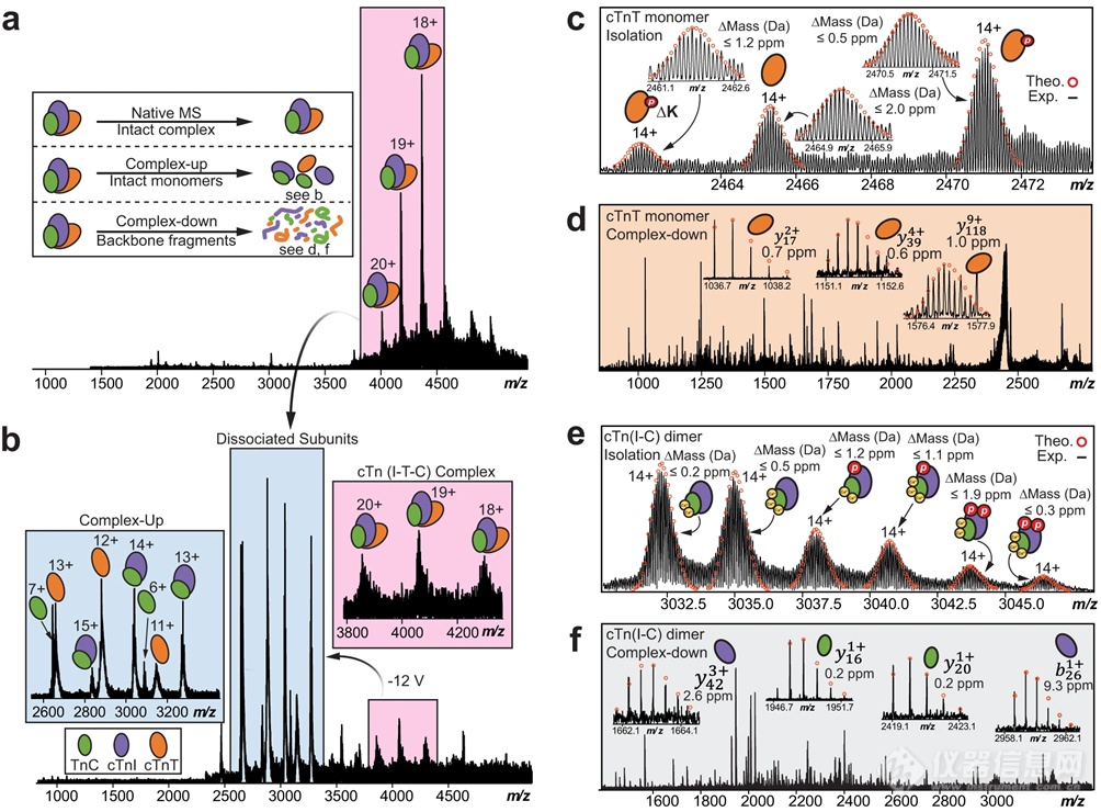 自然通讯成果|非变性纳米蛋白质组学捕获内源性心肌肌钙蛋白复合物的结构和动态性信息