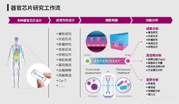 聚焦器官芯片|Revvity & Emulate器官芯片高内涵成像应用手册正式发布