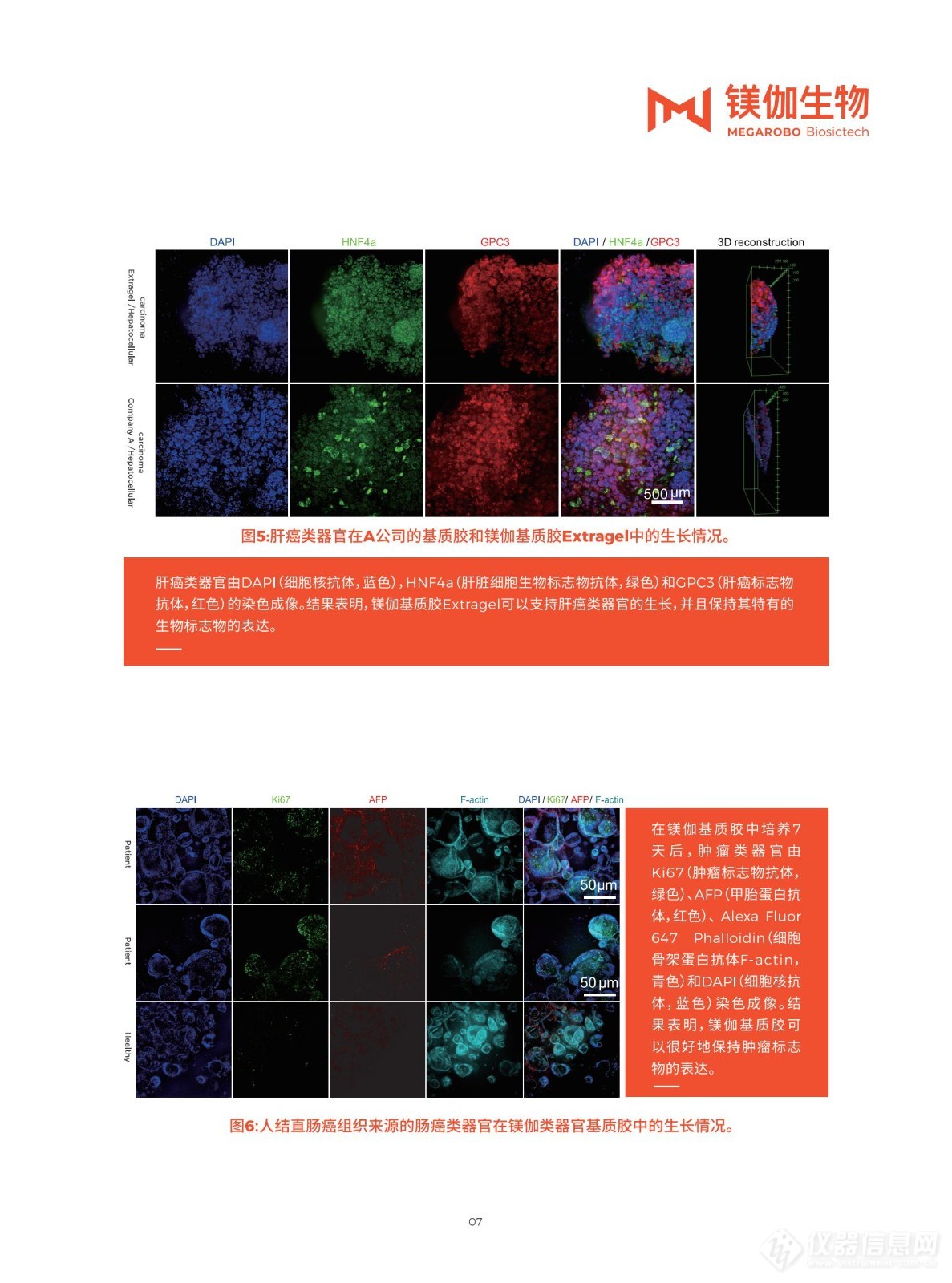 镁伽生物基质胶手册ExtraGel产品手册_08.jpg