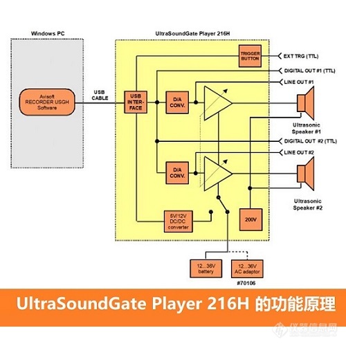 动物声音超声播放器  UltraSoundGate 1216H-Avisoft-新品