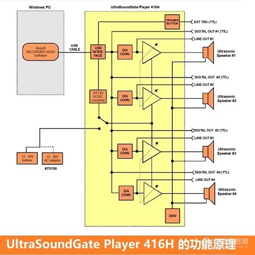 动物声音超声播放系统UltraSoundGate 416H-Avisoft-新品