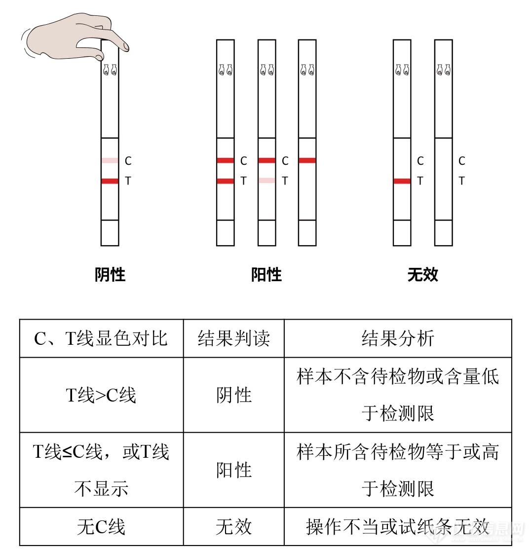 美洛昔康快速检测试纸条