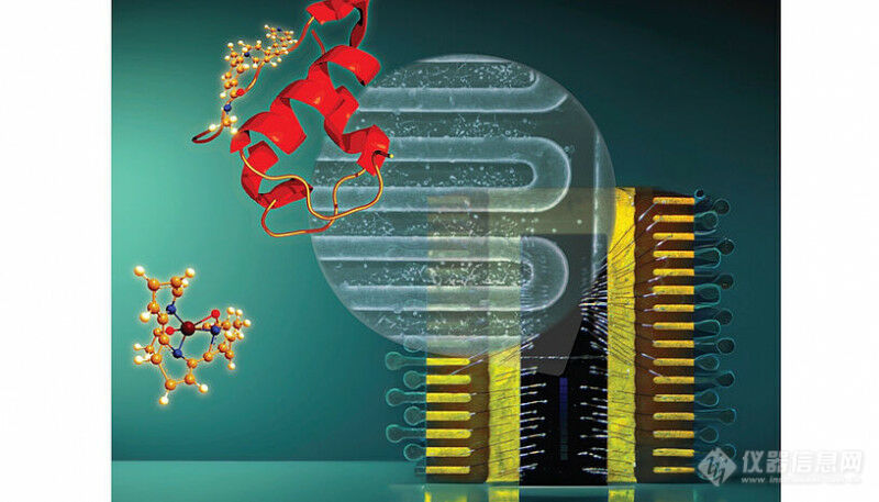质谱电离技术重要突破!超导纳米线检测单个蛋白质离子