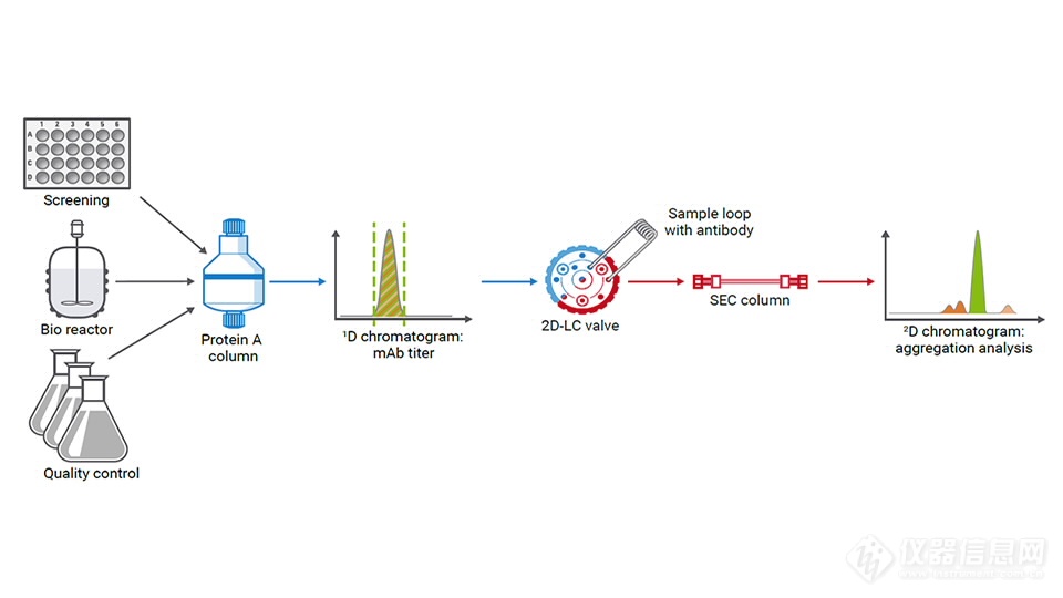 2D-LC-process-monitoring-ProtA-SEC-workflow-agilent.jpg