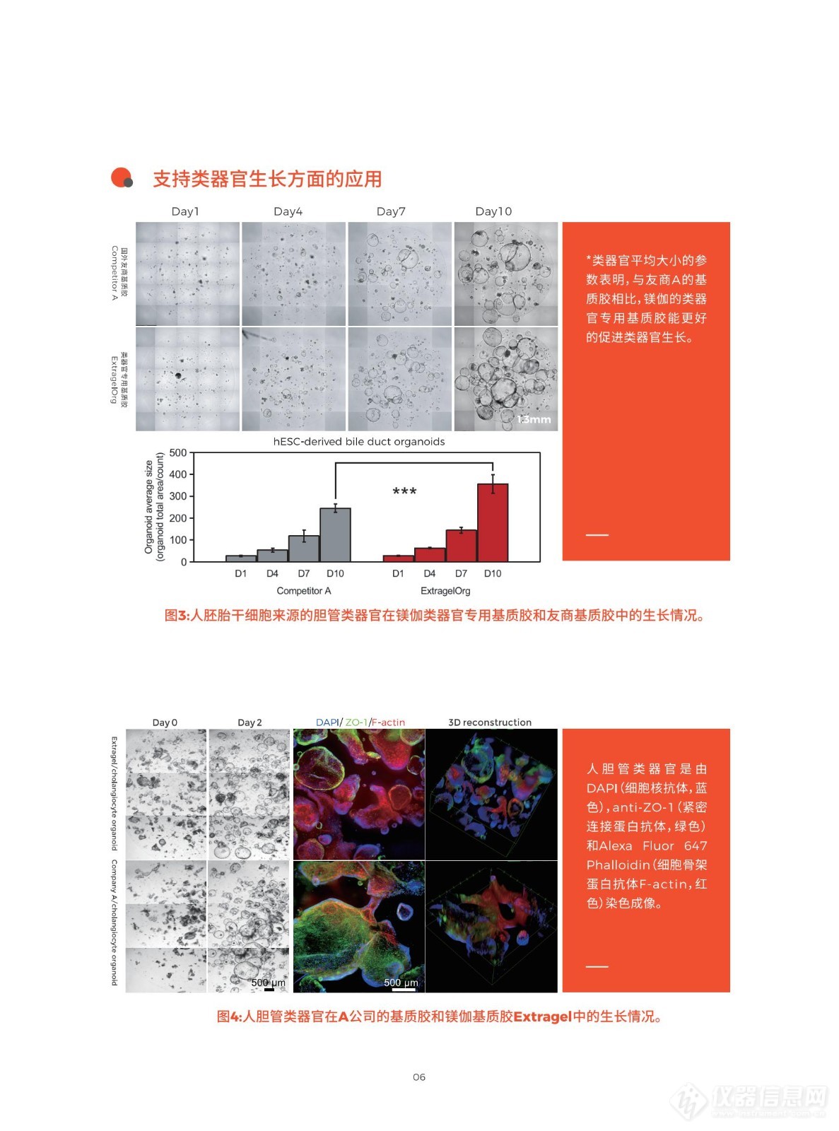 镁伽生物基质胶手册ExtraGel产品手册_07.jpg