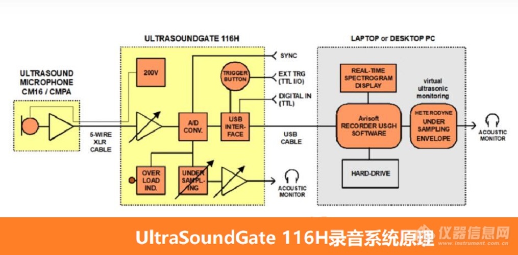 超声波116H-3.jpg