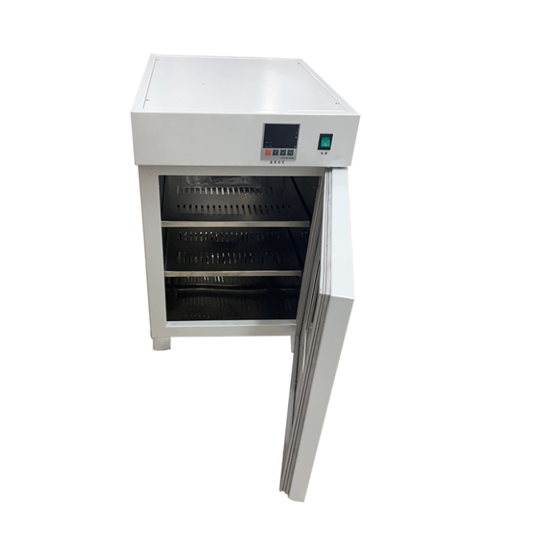 小型电热培养箱DH5000B恒温微生物培养装置150L