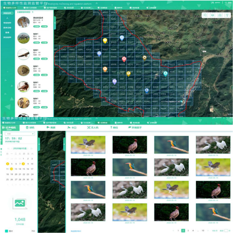 生态环境生物资源保护监管 生物多样性大数据管理云平台