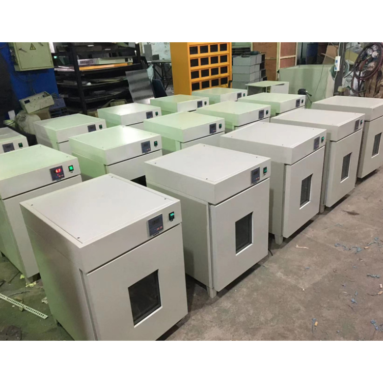 小型电热培养箱DH5000B恒温微生物培养装置150L