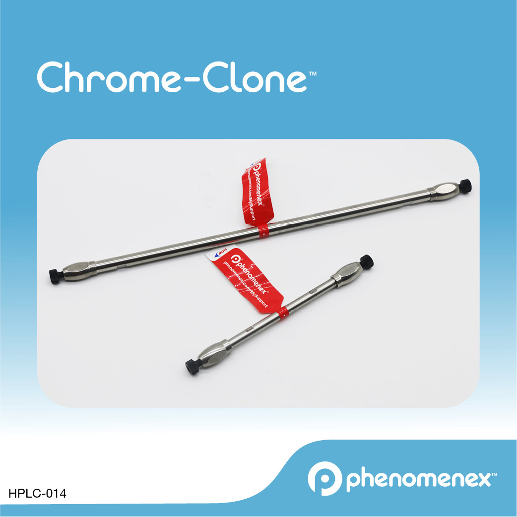 Chrom-Clone™ 5 &#181;m C18(ODS)柱 100 &#197; 00F-4741-E0