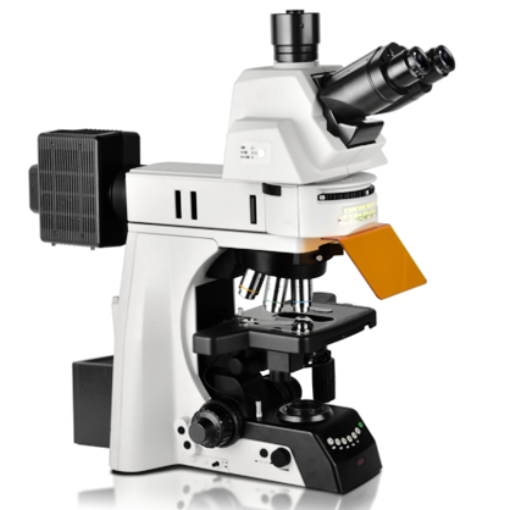 耐可视研究级生物荧光显微镜NE950