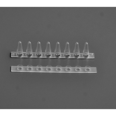  FDT-CP0100 0.1ml PCR 8连管