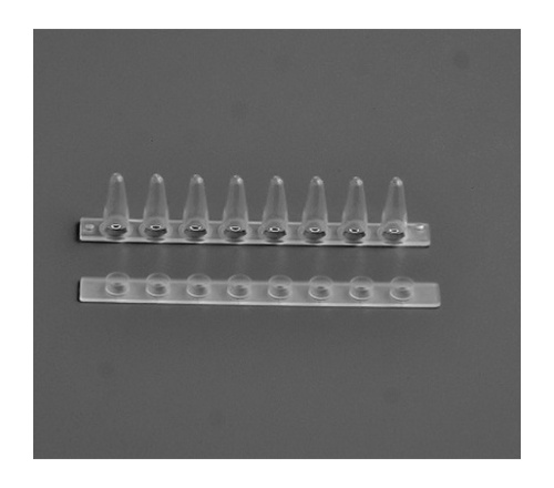  FDT-CP0100 0.1ml PCR 8连管