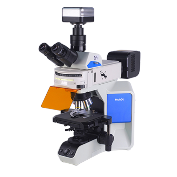 研究级荧光显微镜M F 43-N