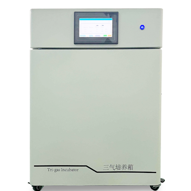三气培养箱CYSQ-80-III 细菌生长箱 控温加湿多功能箱体 多气体箱