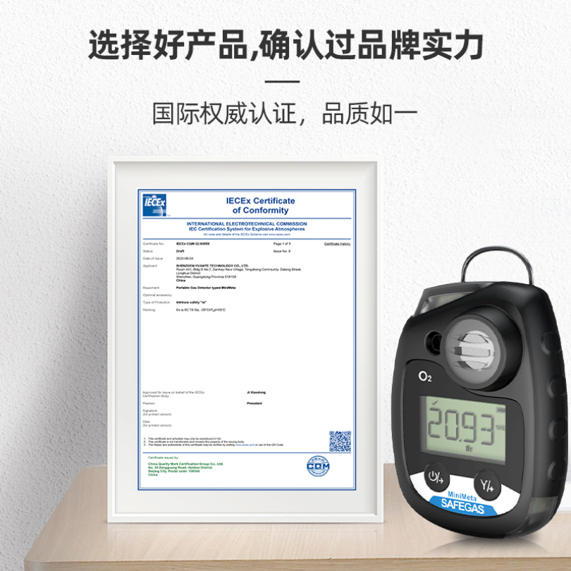 深圳元特Safegas便携式一氧化碳报警仪Minimeta-CO