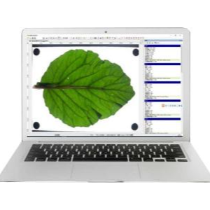  荷叶叶面积分析测量仪  植物叶面积分析测量仪