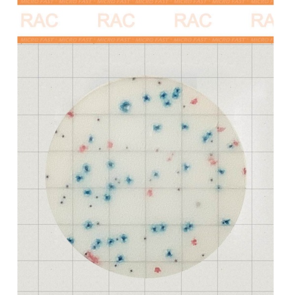 Premium系列快速菌落总数测试片