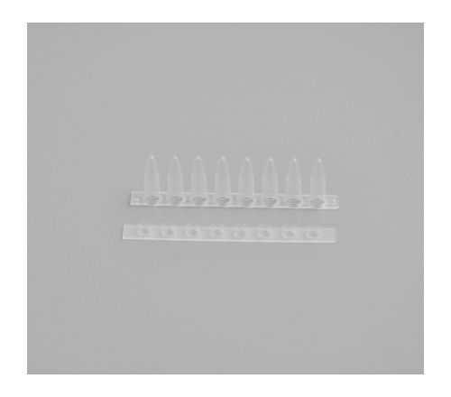 透明,125条/盒，10盒/箱 FDT-CP0110 0.2ml PCR 8连管