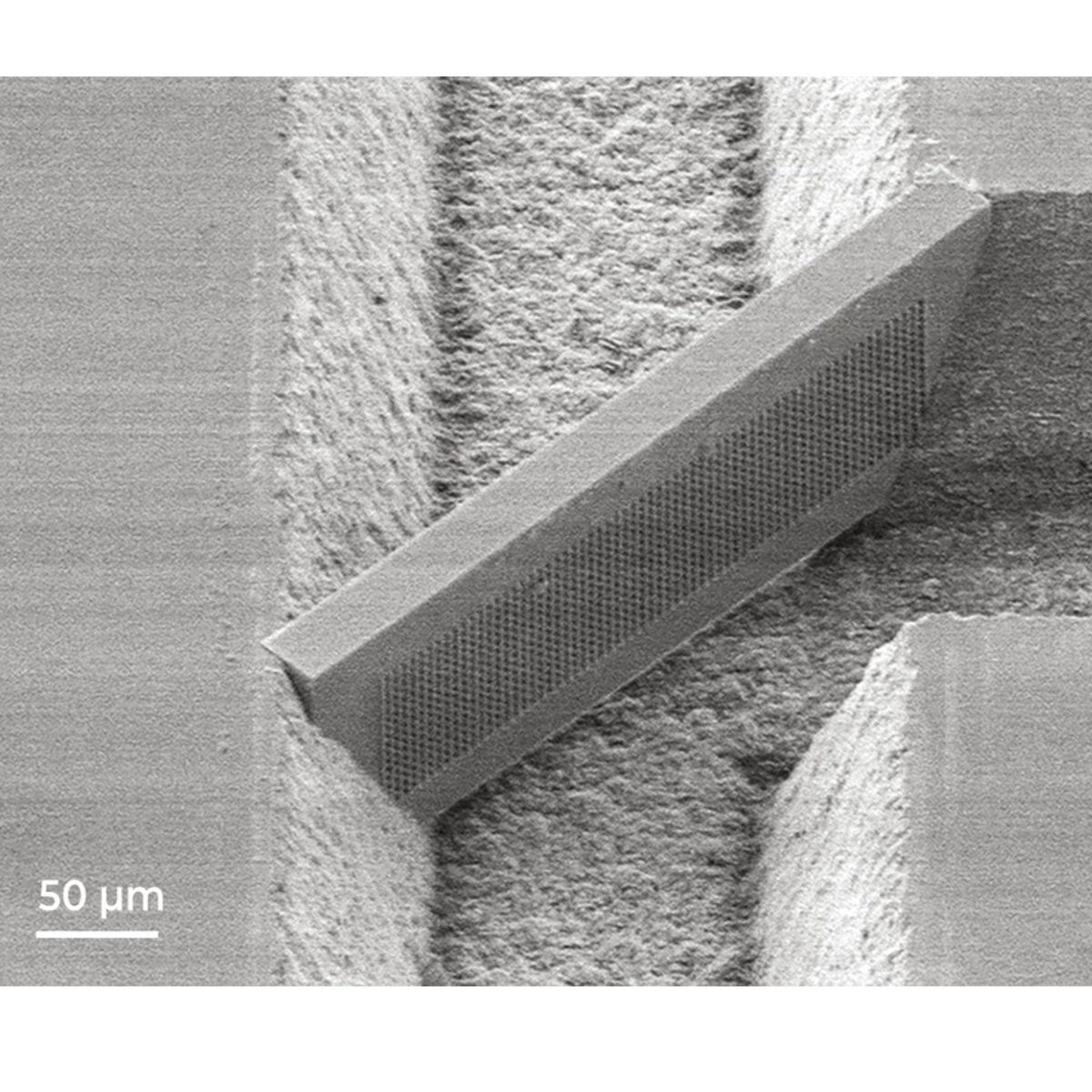 立陶宛进口多光子聚合3d打印微纳加工系统FemtoMPP