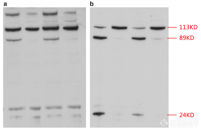 Blot240109-2.jpg