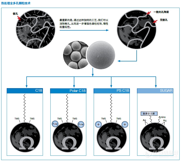 luna omega polar c18:一種針對恩格列淨/利格列汀性.