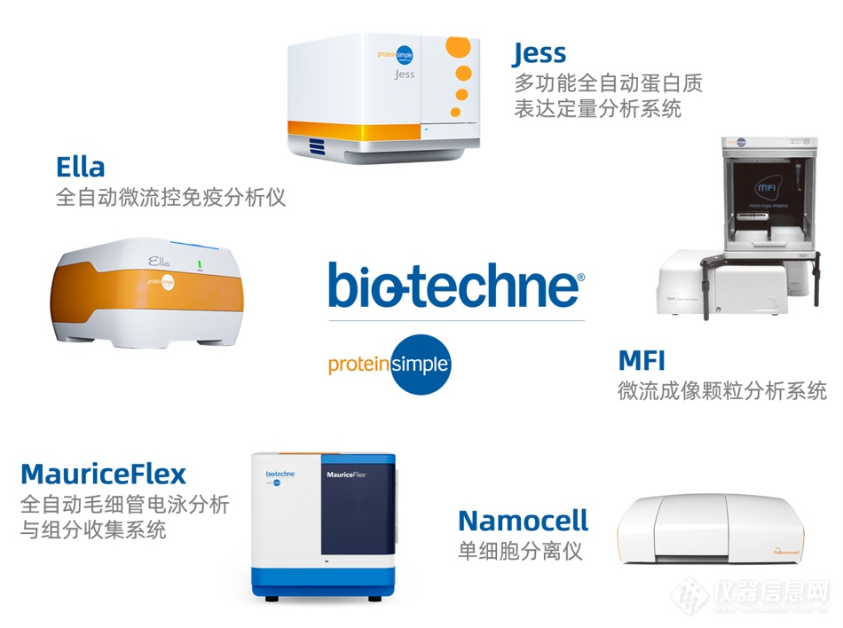 ProteinSimple蛋白分析工具