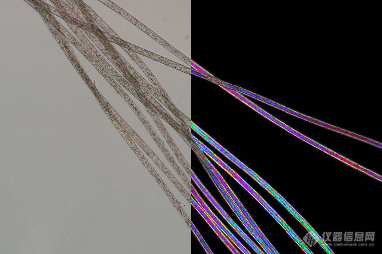 Left: Nylon fibers imaged with parallel polarizers. Right: Same nylon fibers imaged with crossed polarizers show typical higher order birefringence colors. Images recorded with a DM4 P microscope using transmitted light, 20x Plan Fluotar objective, and polarizers.