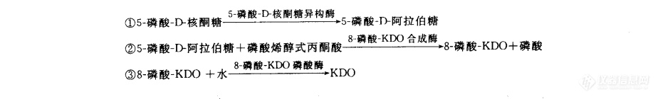 KDO的合成包括三个连续反应