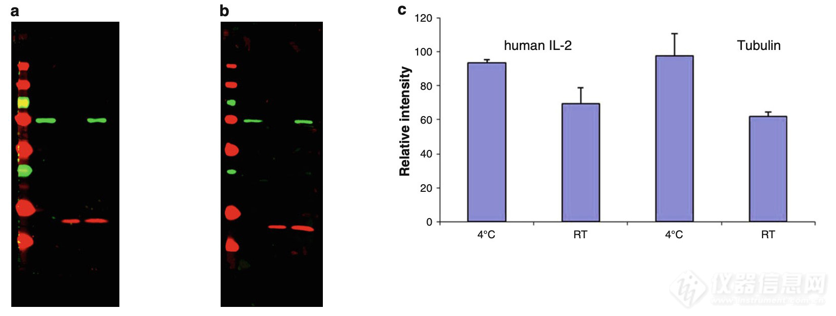 Blot240109-3.jpg