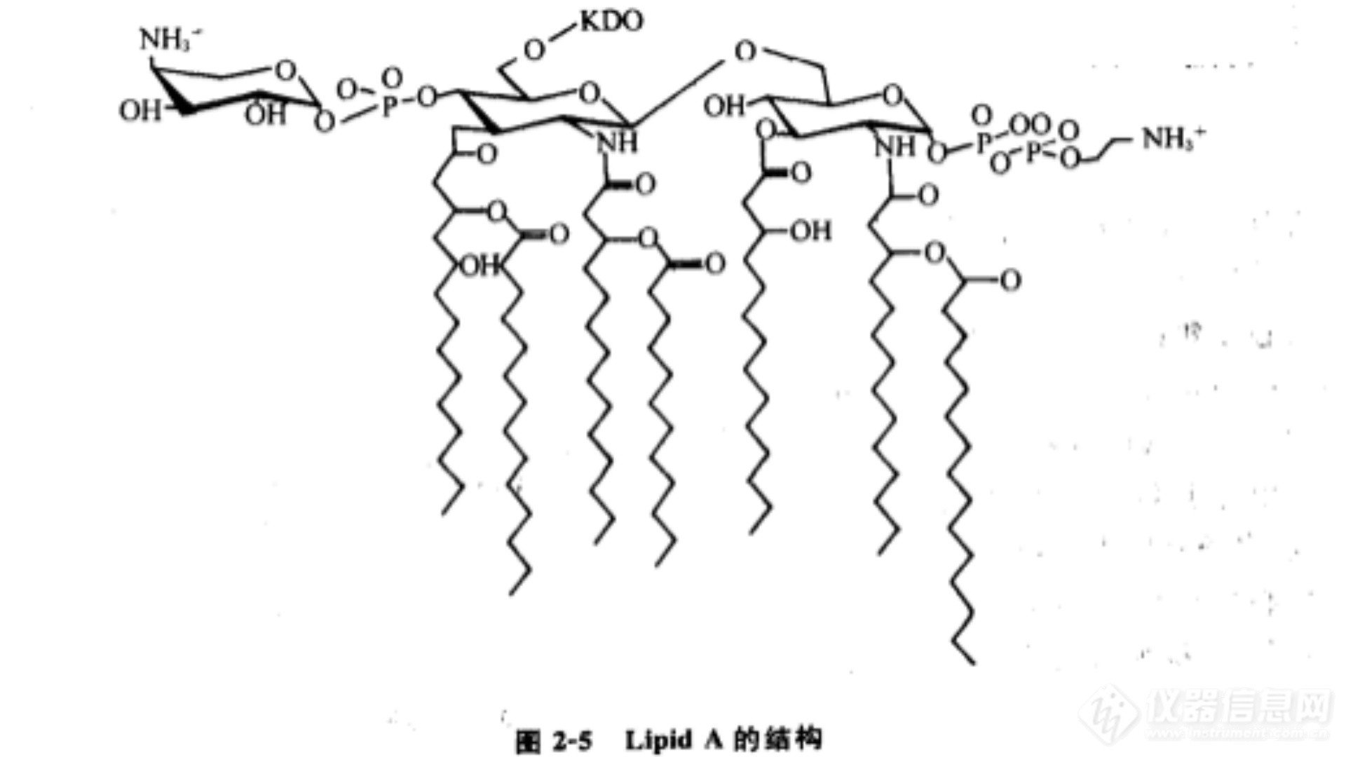 细菌内毒素的结构之Lipid A的结构阐述