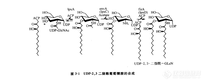 Lipid A的生物合成和遗传学概述