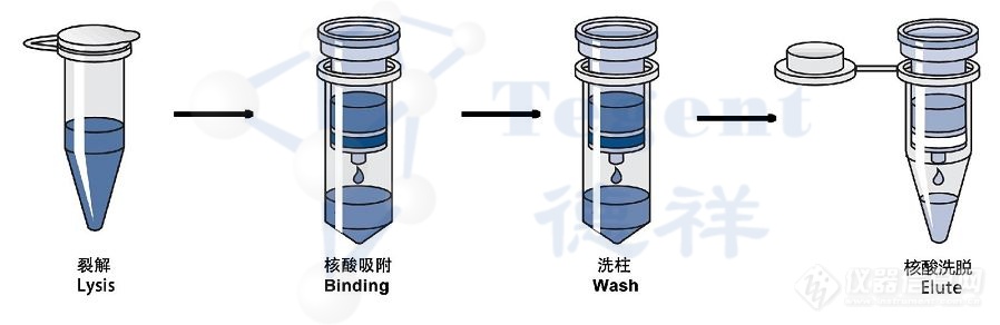 核酸提取纯化和浓缩方法应该选_____