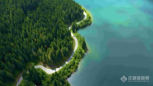 aerial-view-winding-road-surrounded-by-ocean-pine-tree-forest(1)(1).jpg