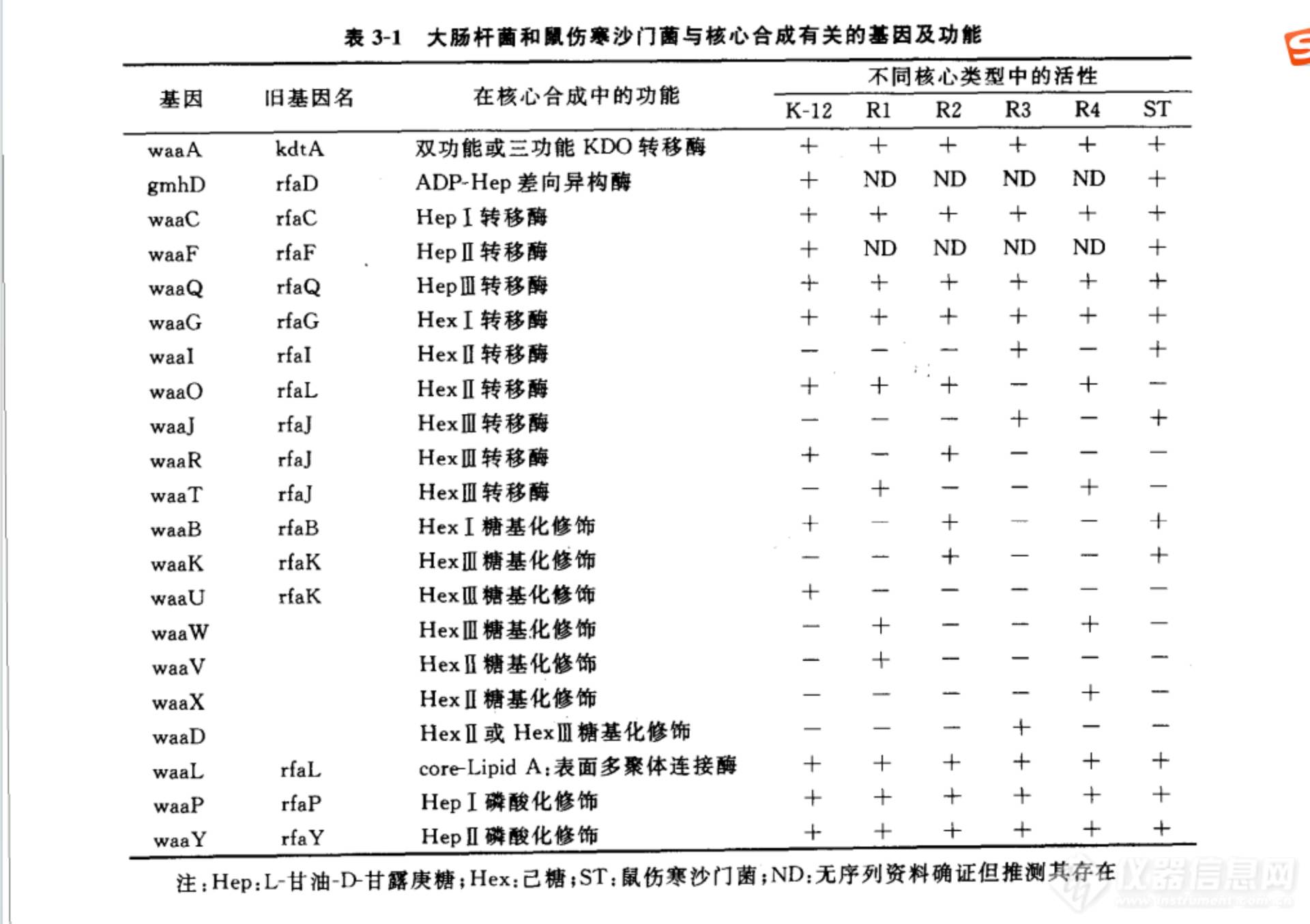 核心多糖的生物合成与跨膜转运机制