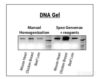 DNA提取方法_3.png