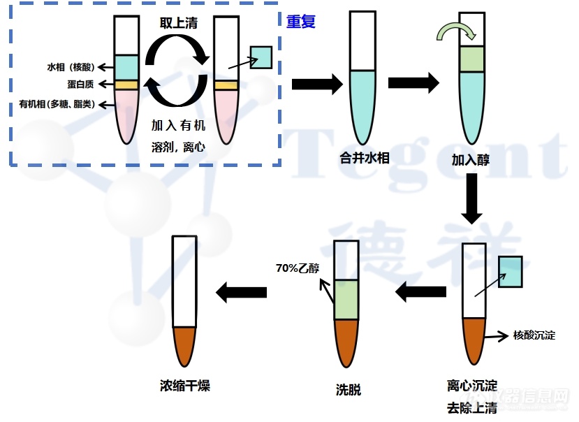 核酸提取纯化和浓缩方法应该选_____