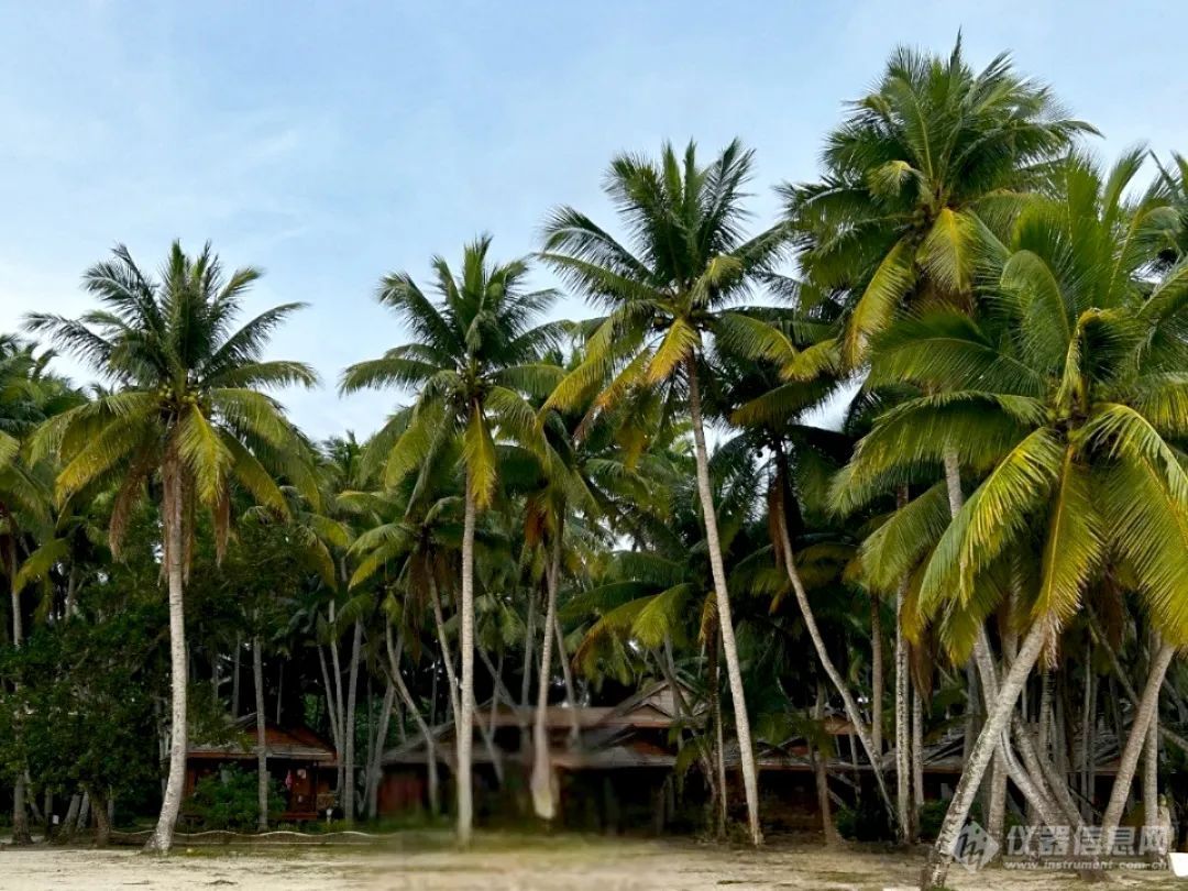 凝心聚力，携手同行丨科德角国际海南环岛旅行圆满完成！