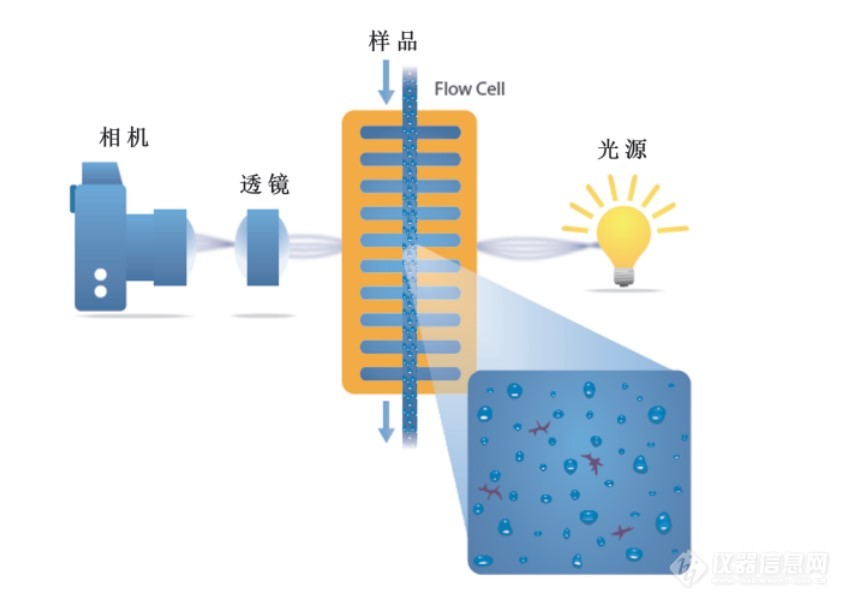 MFI微流成像原理图