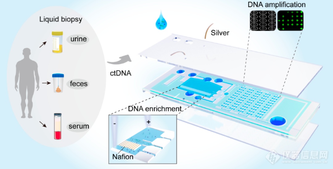 我国科学家团队成功开发超低浓度ctDNA富集检测平台