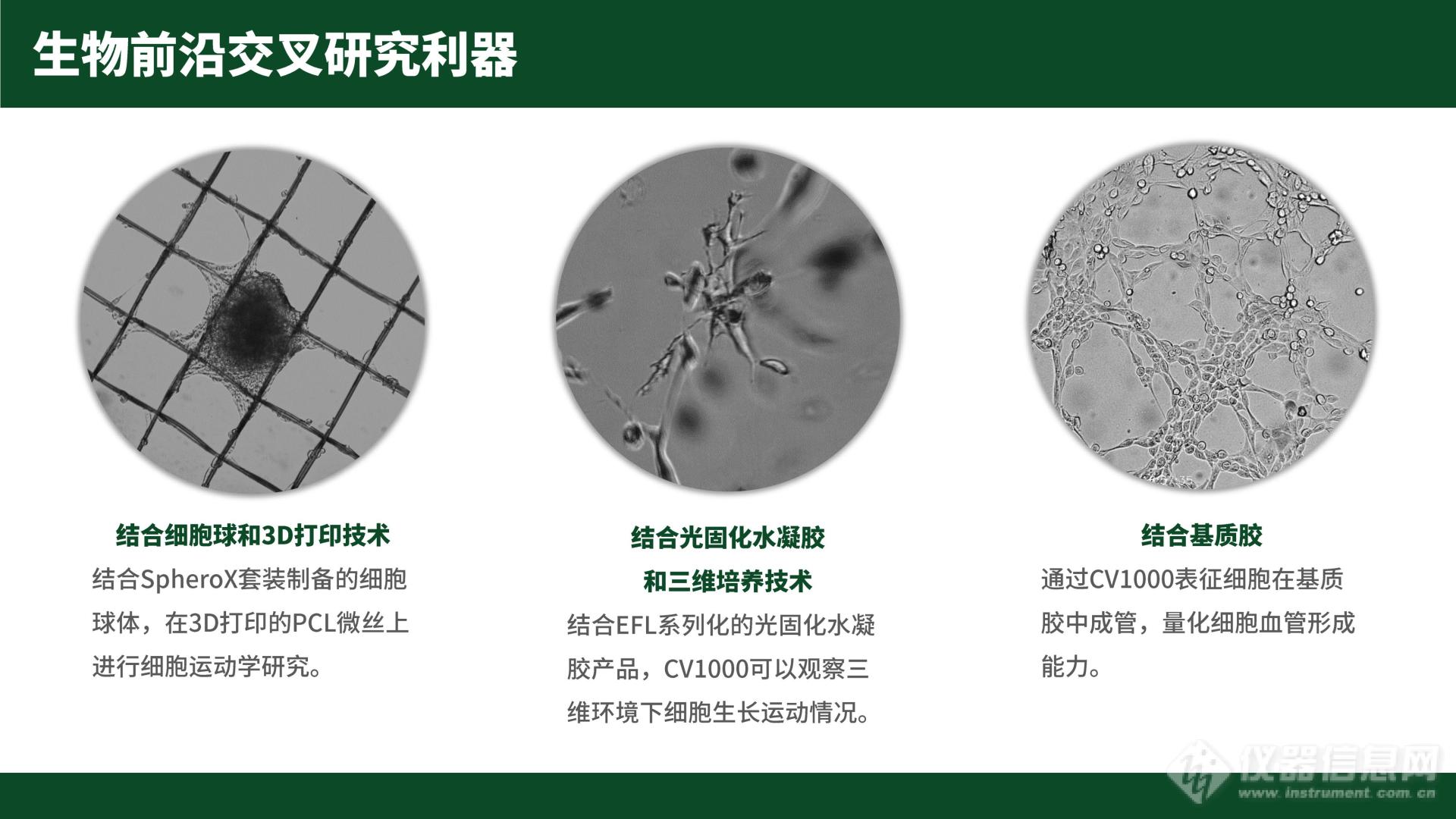 20230619_活细胞动态观察仪-网站版本_07