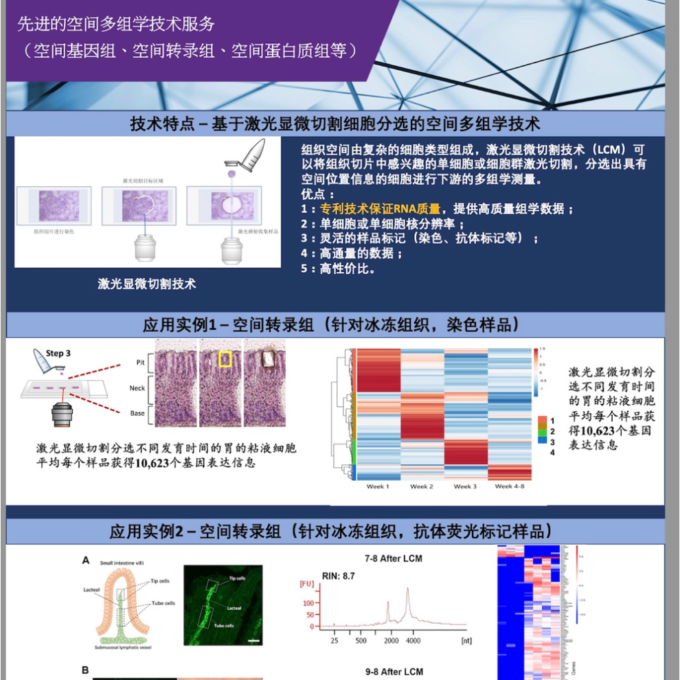 类器官CRO服务（多空间组学分析）