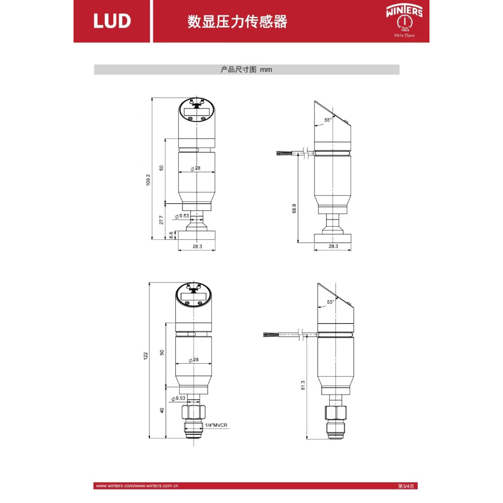 加拿大/美国 文特斯 WINTERS LUD 工字安装 IGS成套专用 超纯压力传感器