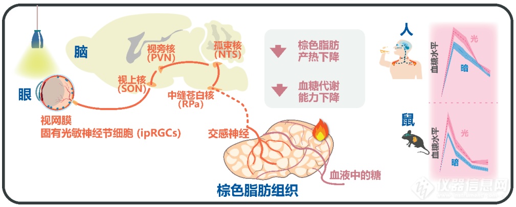 2023年度中国科学十大进展发布