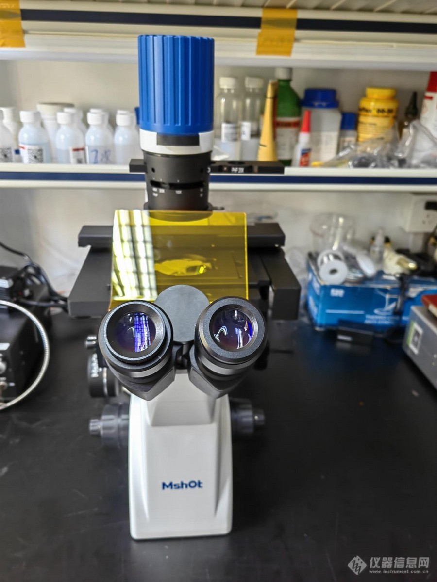 01_倒置荧光显微镜应用于观察细胞毒性.jpg