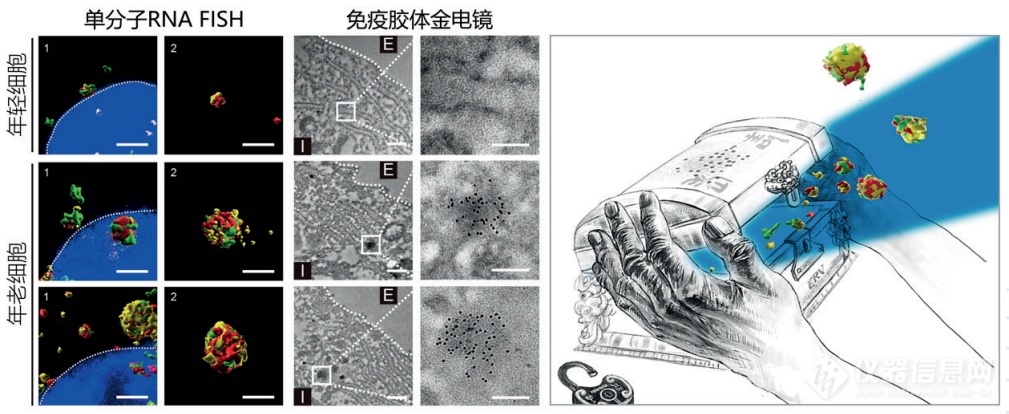 重磅！2023年度中国科学十大进展发布