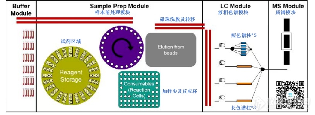 罗氏全自动质谱方案最新解读|2024准备好进入质谱分析新维度了吗？