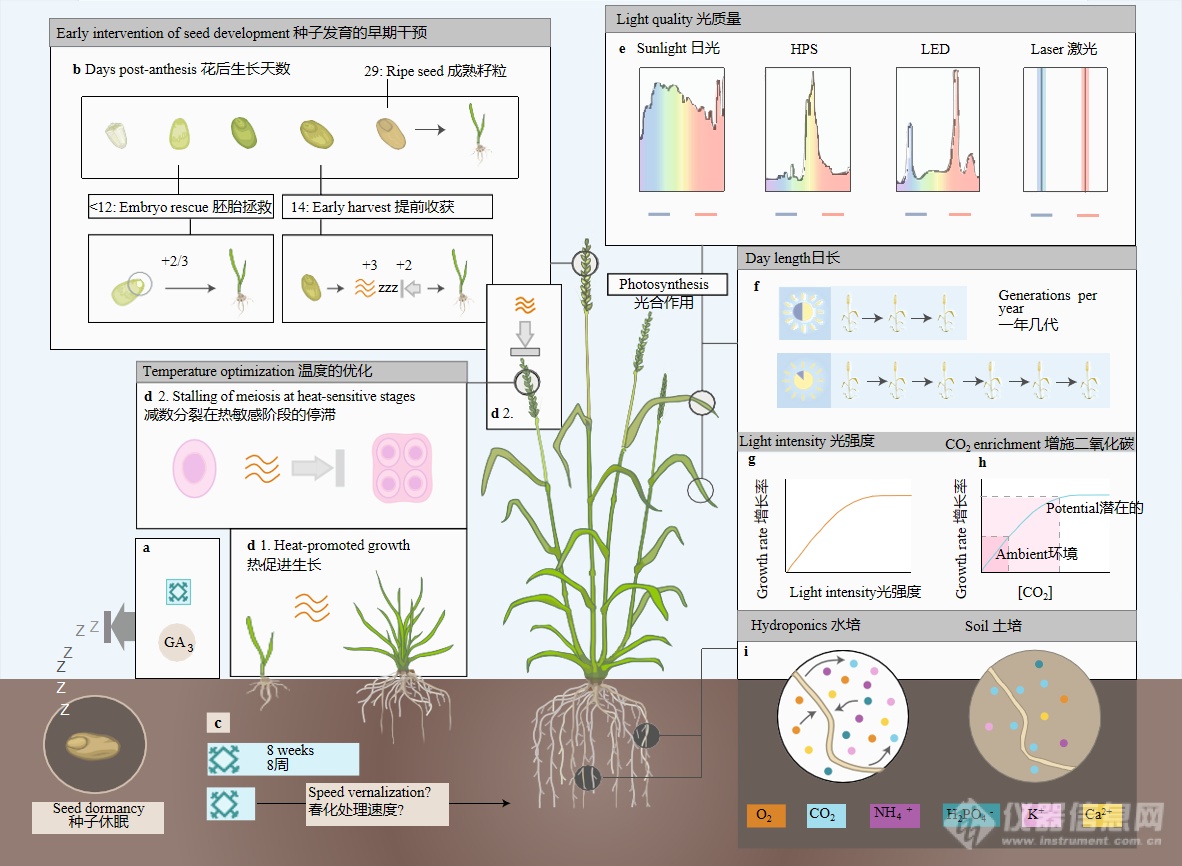 图5增压植物生长：快速育种2.0.png