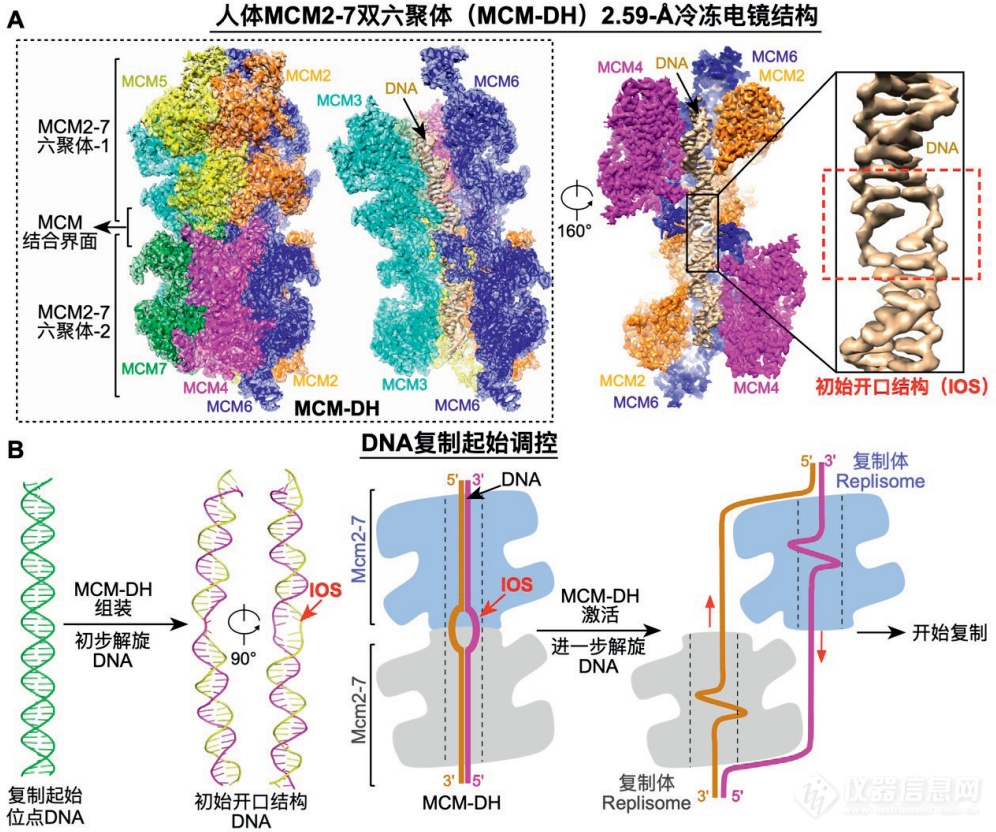 重磅！2023年度中国科学十大进展发布