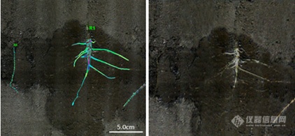 植物3D根系生长监测系统